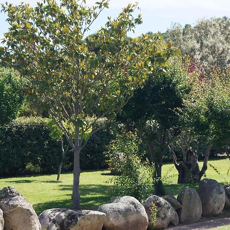 Les Jardins De Santa Giulia - Charmante Chambre D'Hote Porto-Vecchio  Zewnętrze zdjęcie