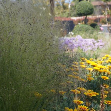 Les Jardins De Santa Giulia - Charmante Chambre D'Hote Porto-Vecchio  Zewnętrze zdjęcie