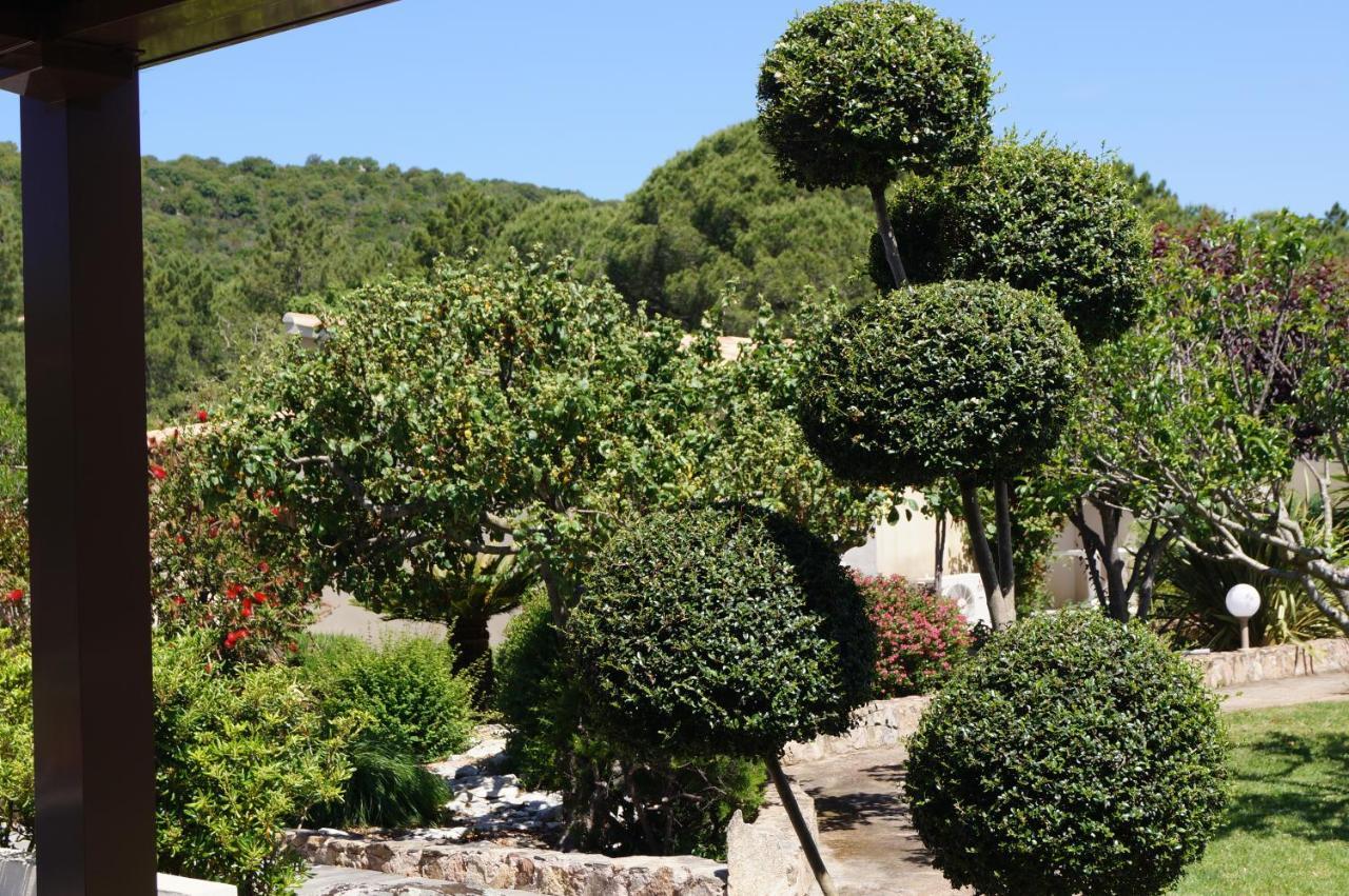 Les Jardins De Santa Giulia - Charmante Chambre D'Hote Porto-Vecchio  Zewnętrze zdjęcie